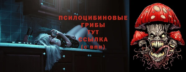 дмт Аркадак